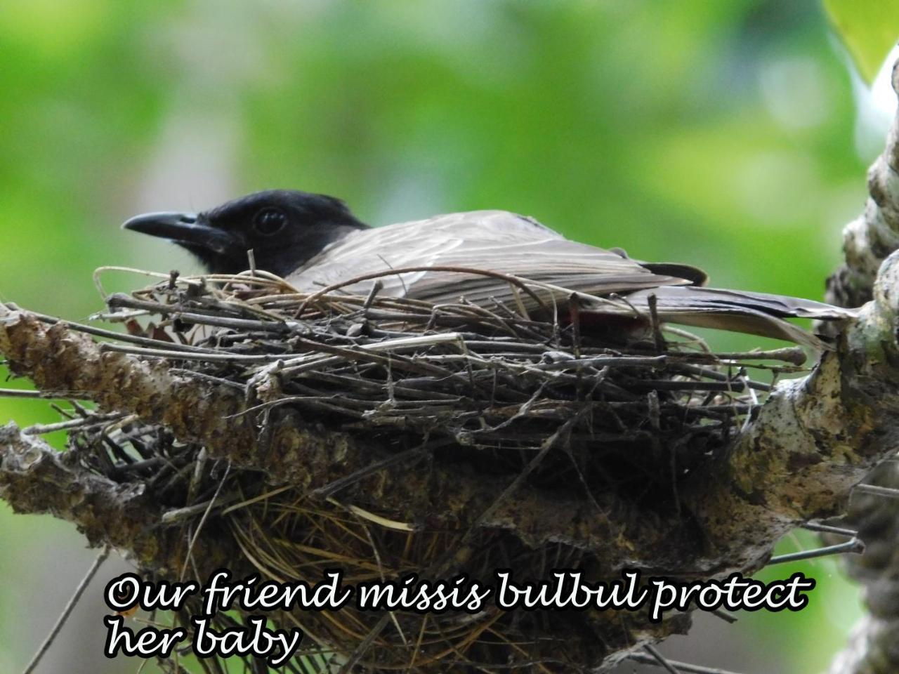 Yala Avian Eye Safari Apartment Buttala Ngoại thất bức ảnh