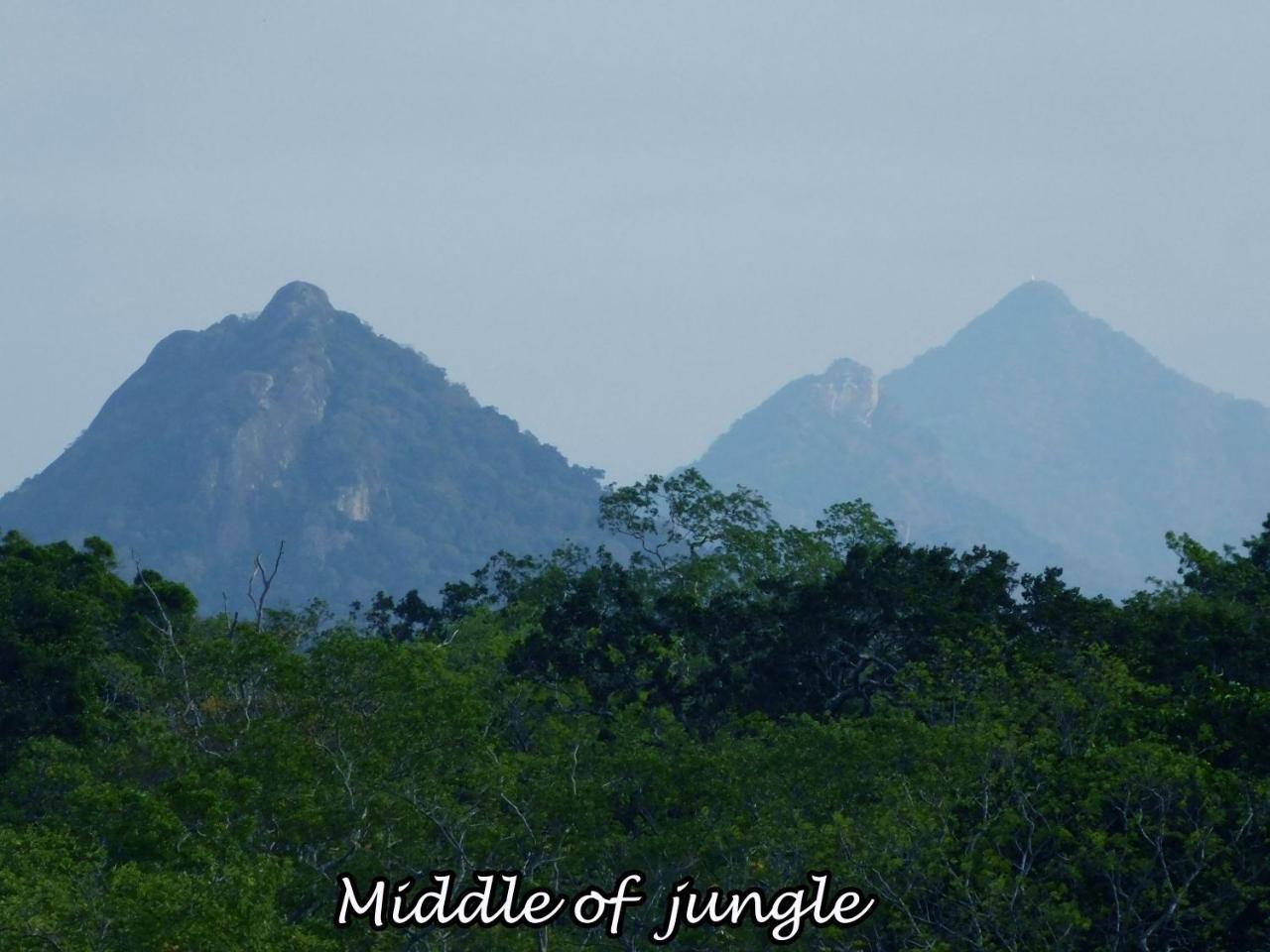 Yala Avian Eye Safari Apartment Buttala Ngoại thất bức ảnh