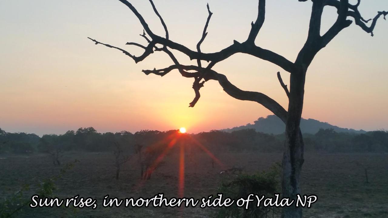 Yala Avian Eye Safari Apartment Buttala Ngoại thất bức ảnh