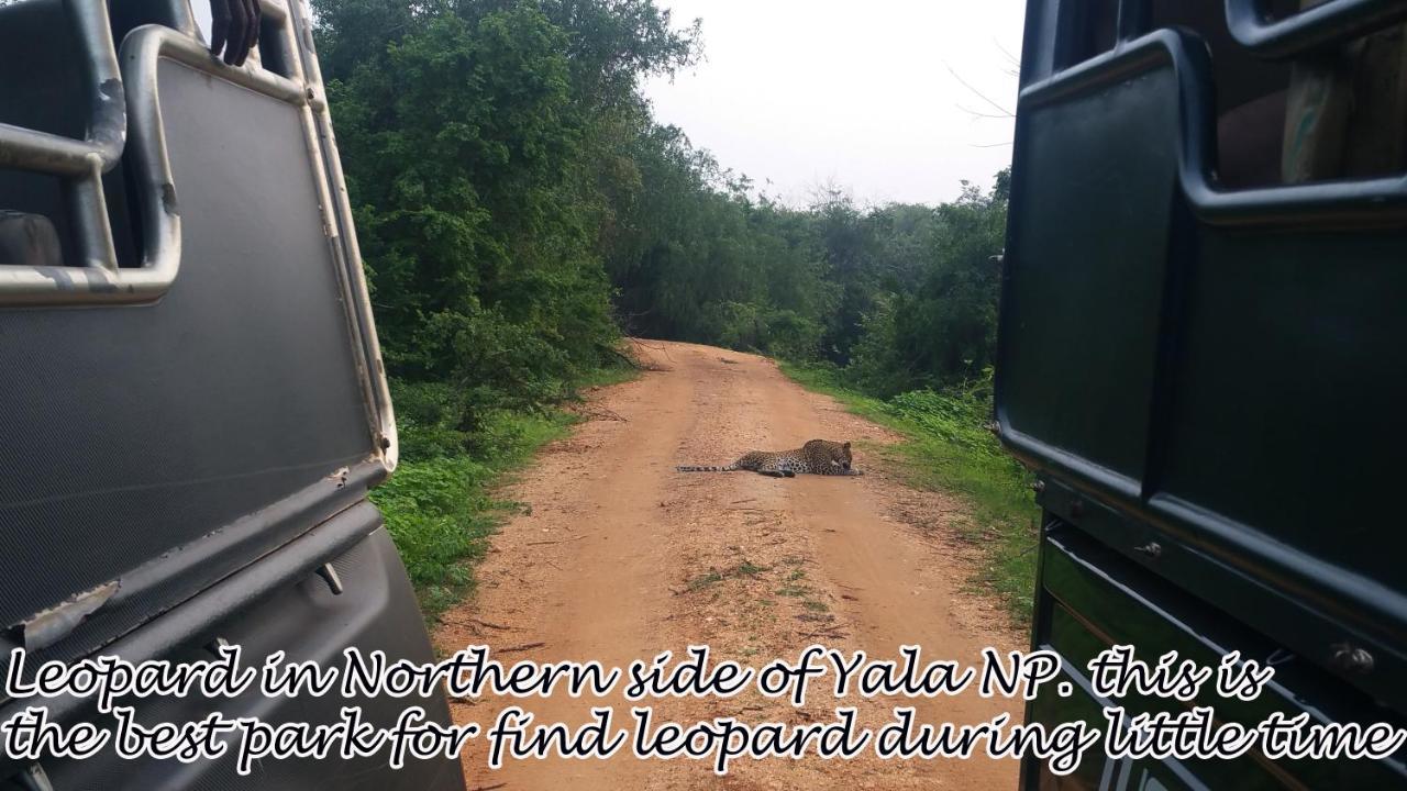 Yala Avian Eye Safari Apartment Buttala Ngoại thất bức ảnh