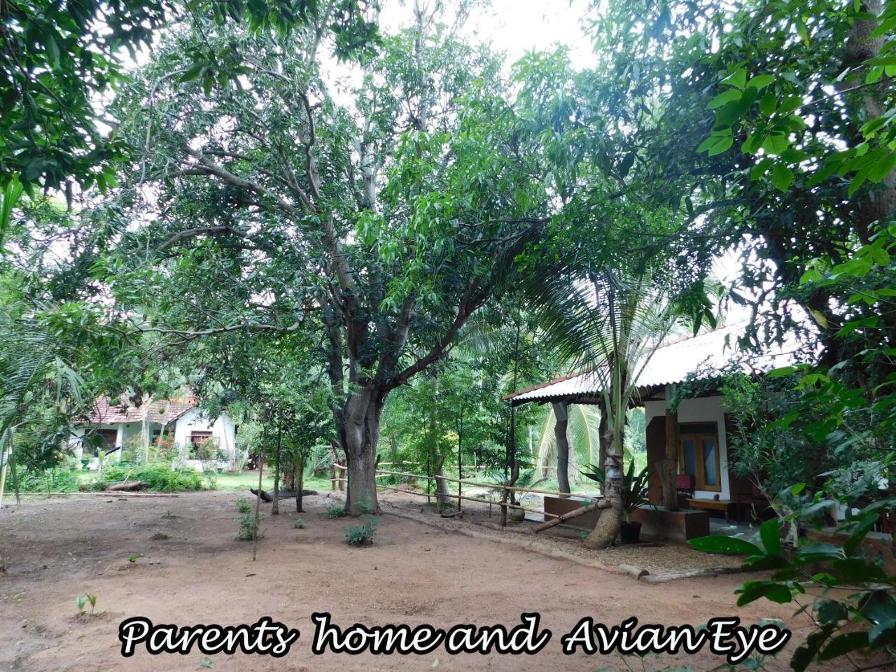 Yala Avian Eye Safari Apartment Buttala Ngoại thất bức ảnh
