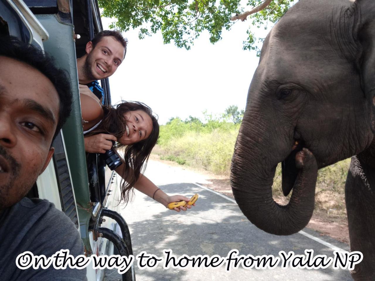 Yala Avian Eye Safari Apartment Buttala Ngoại thất bức ảnh