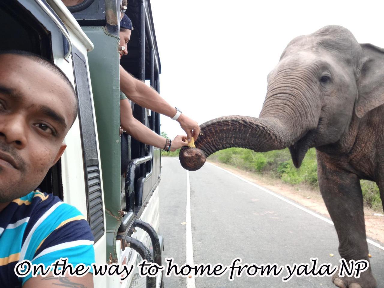 Yala Avian Eye Safari Apartment Buttala Ngoại thất bức ảnh