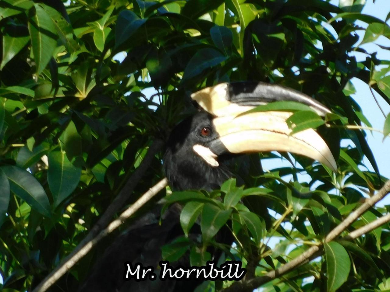 Yala Avian Eye Safari Apartment Buttala Ngoại thất bức ảnh