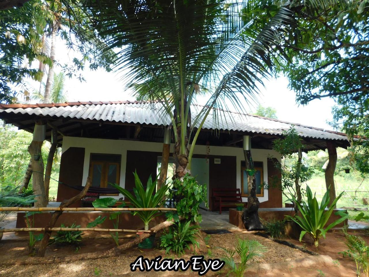 Yala Avian Eye Safari Apartment Buttala Ngoại thất bức ảnh