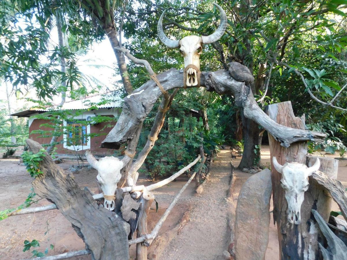 Yala Avian Eye Safari Apartment Buttala Ngoại thất bức ảnh